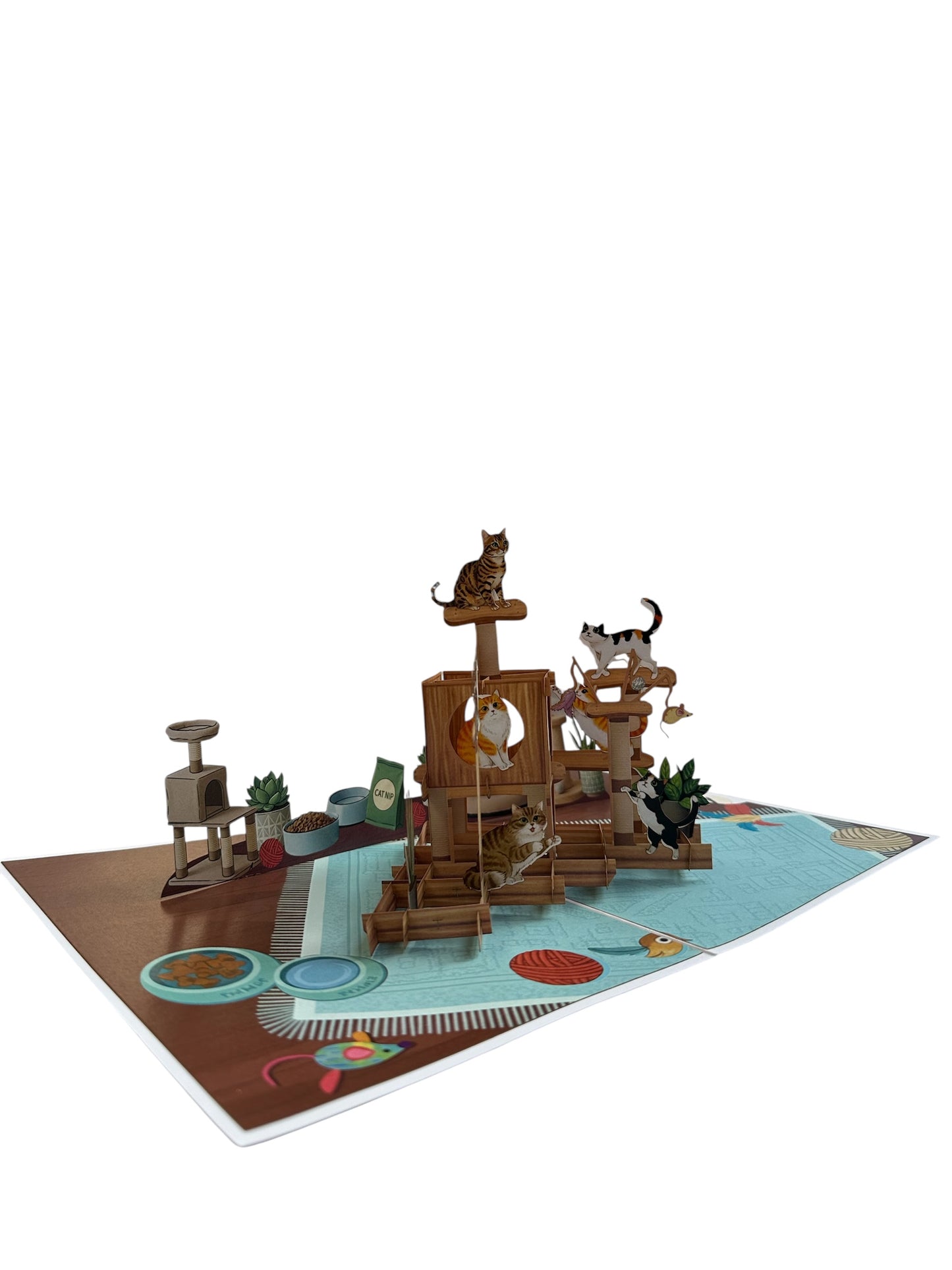 Cat House  Pop Up Card