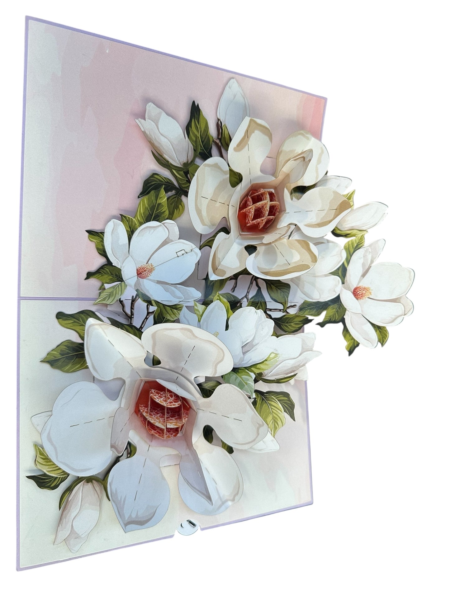 Brisk Magnolia Flowers  Pop Up Card