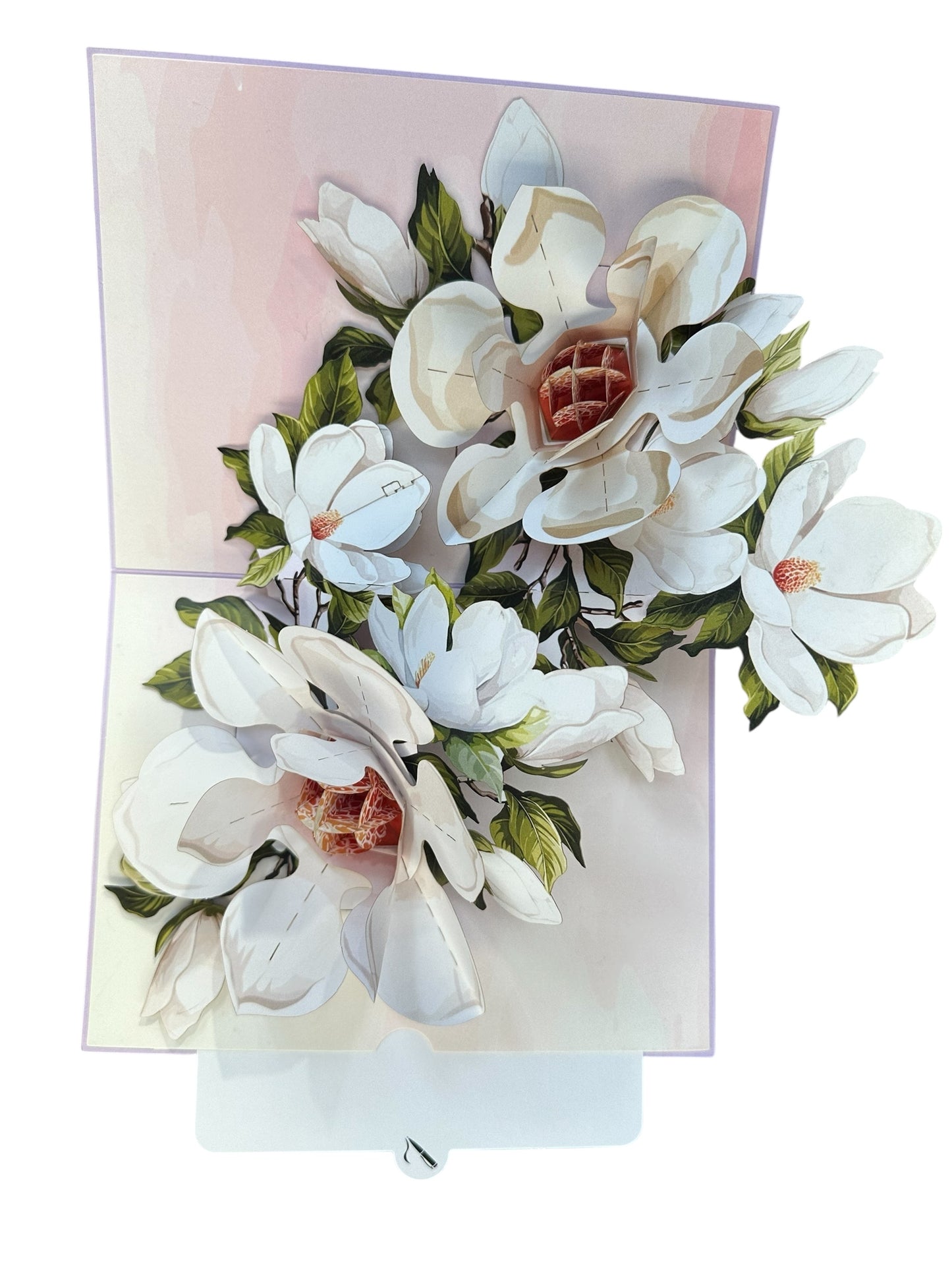 Brisk Magnolia Flowers  Pop Up Card