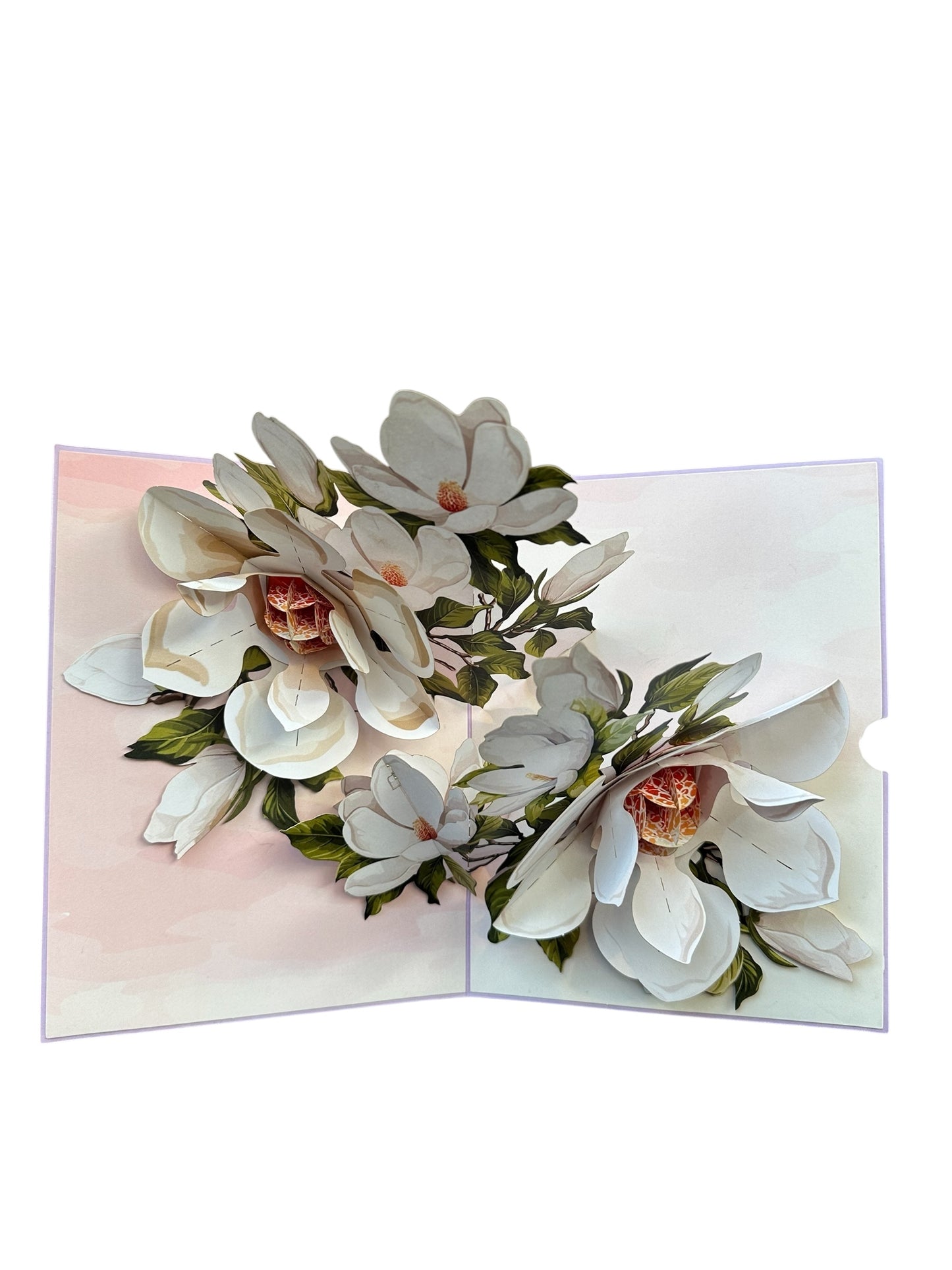 Brisk Magnolia Flowers  Pop Up Card