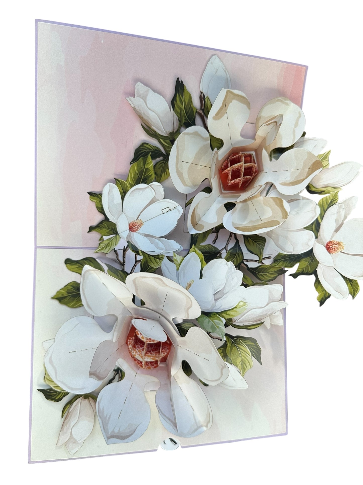 Brisk Magnolia Flowers  Pop Up Card
