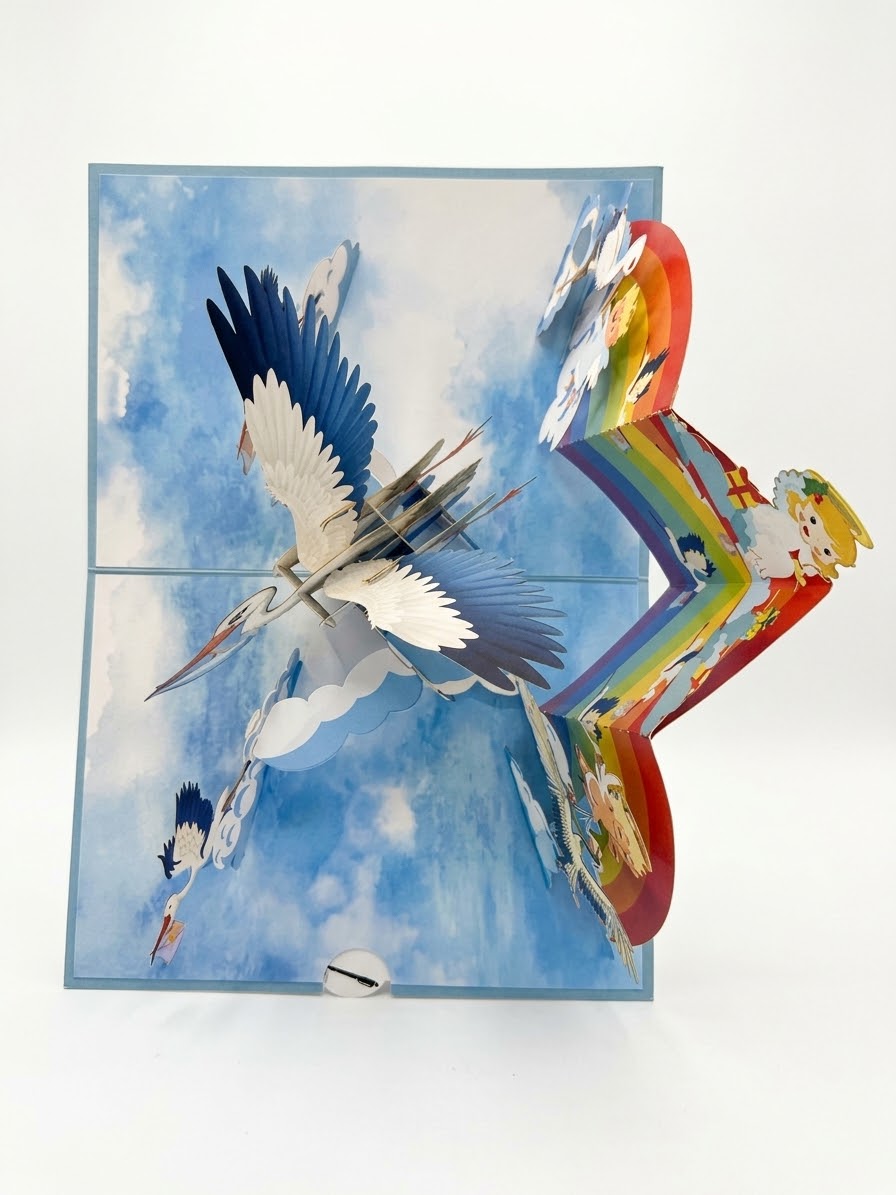 New born baby boy  Pop Up Card