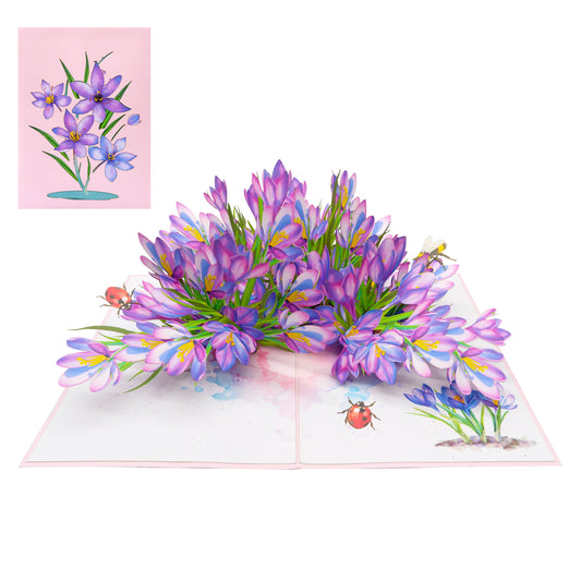 Saffron Garden Pop Up Card