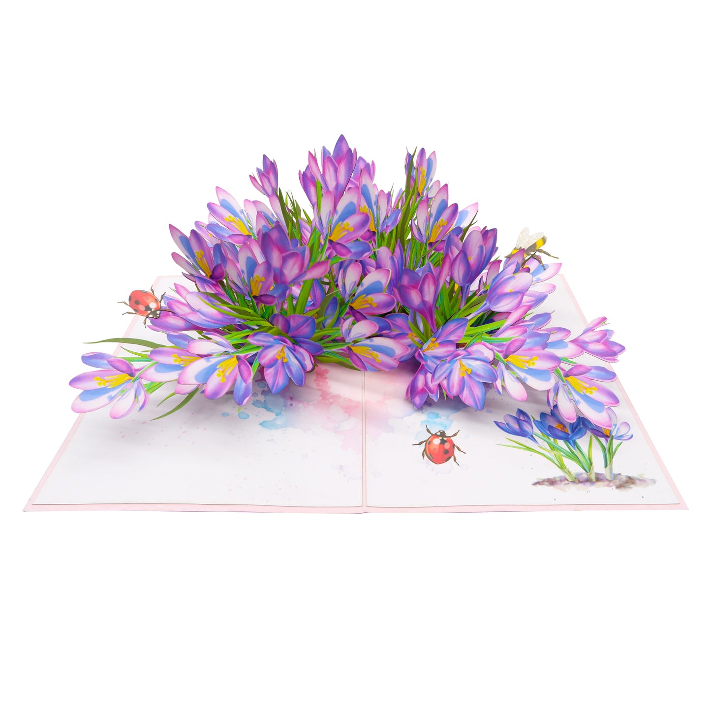 Saffron Garden Pop Up Card