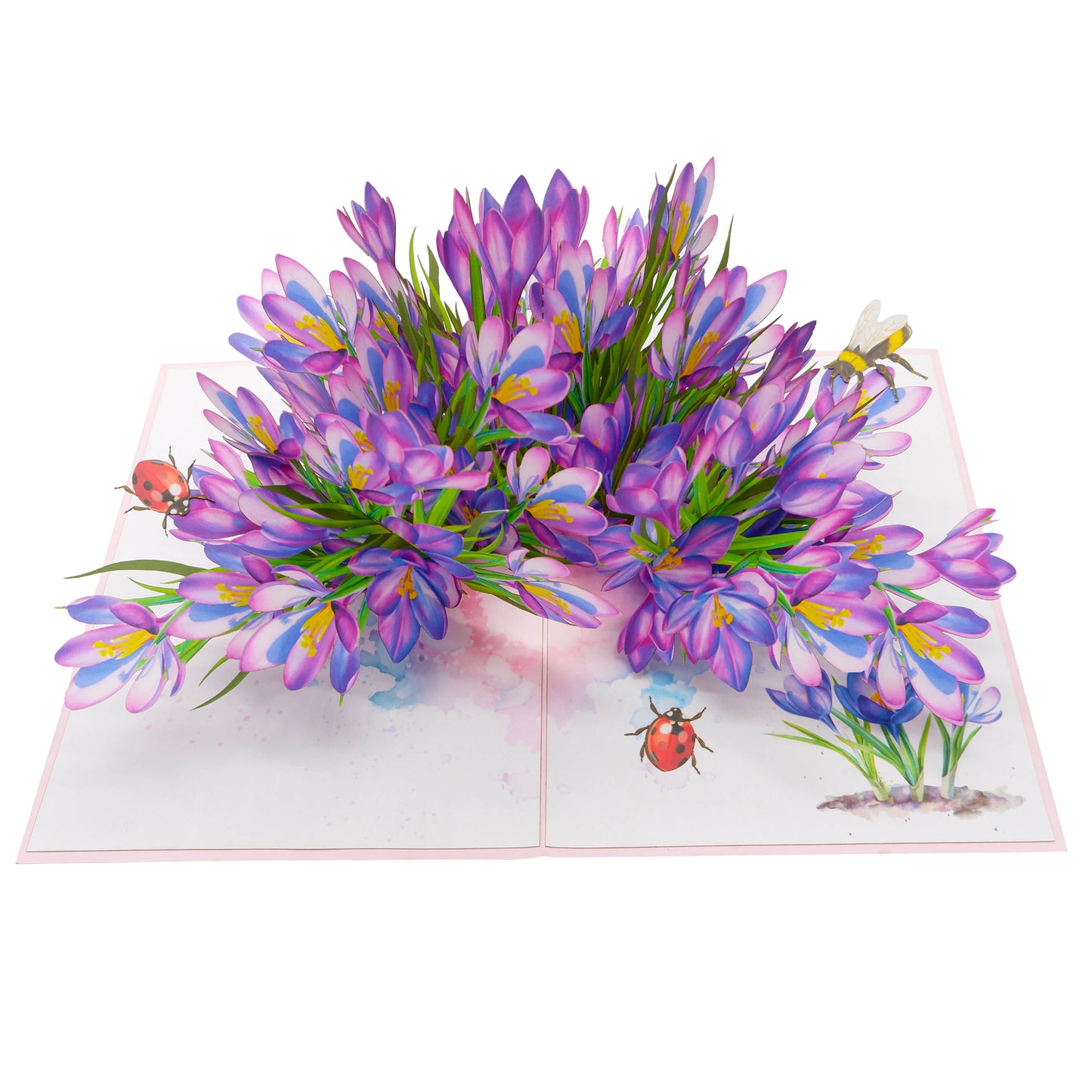 Saffron Garden Pop Up Card