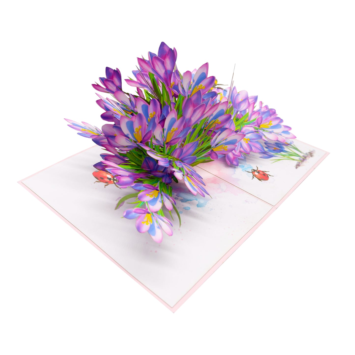 Saffron Garden Pop Up Card