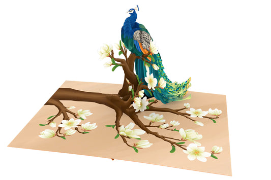 Peacock Magnolia Pop Up Cards