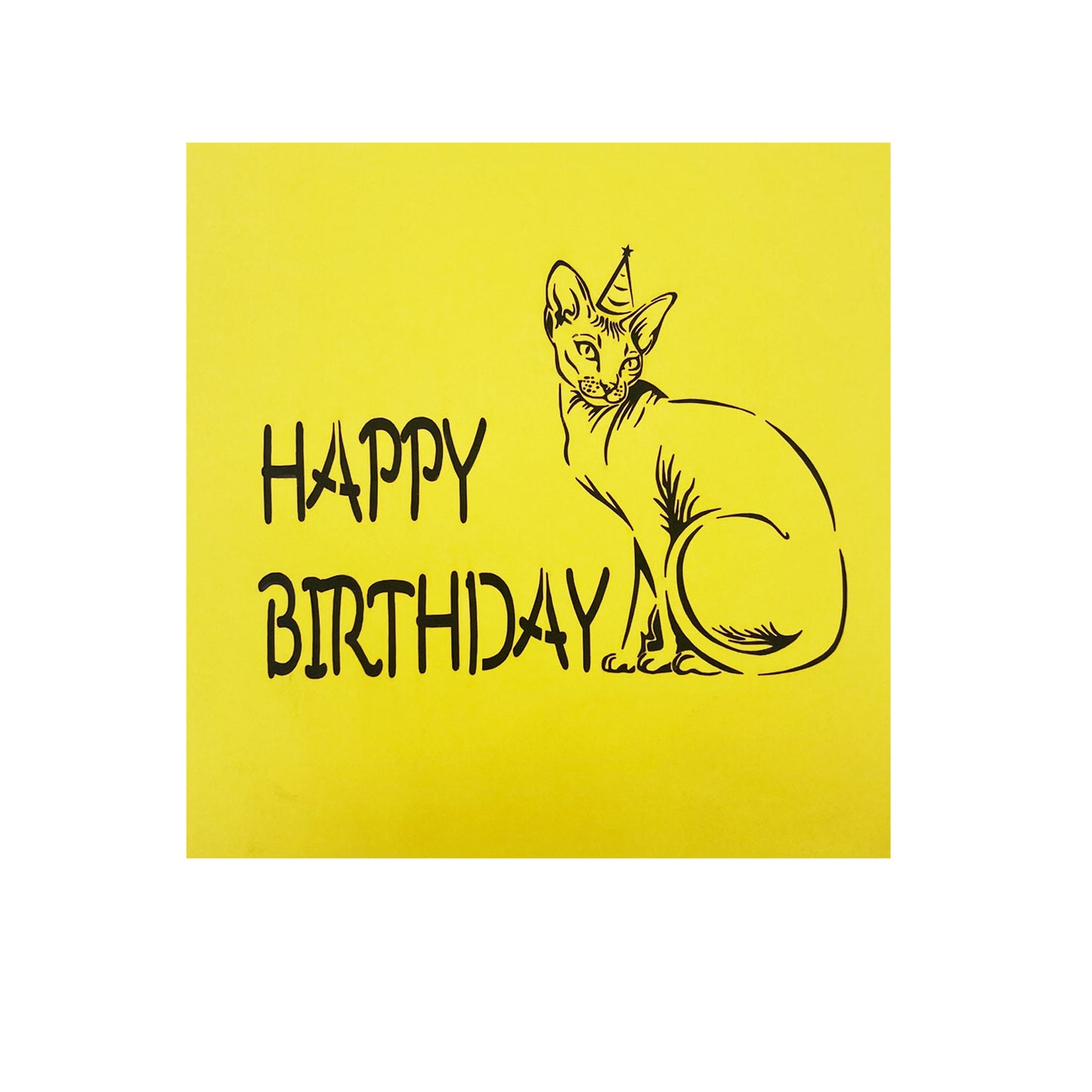 Birthday Cat  Pop Up Card