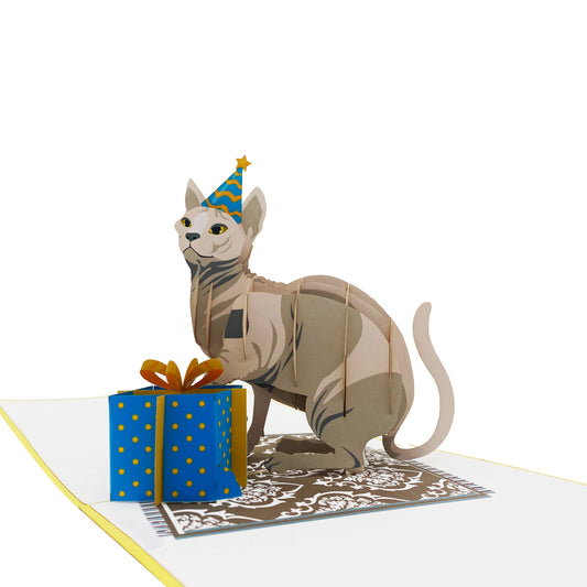 Birthday Cat  Pop Up Card