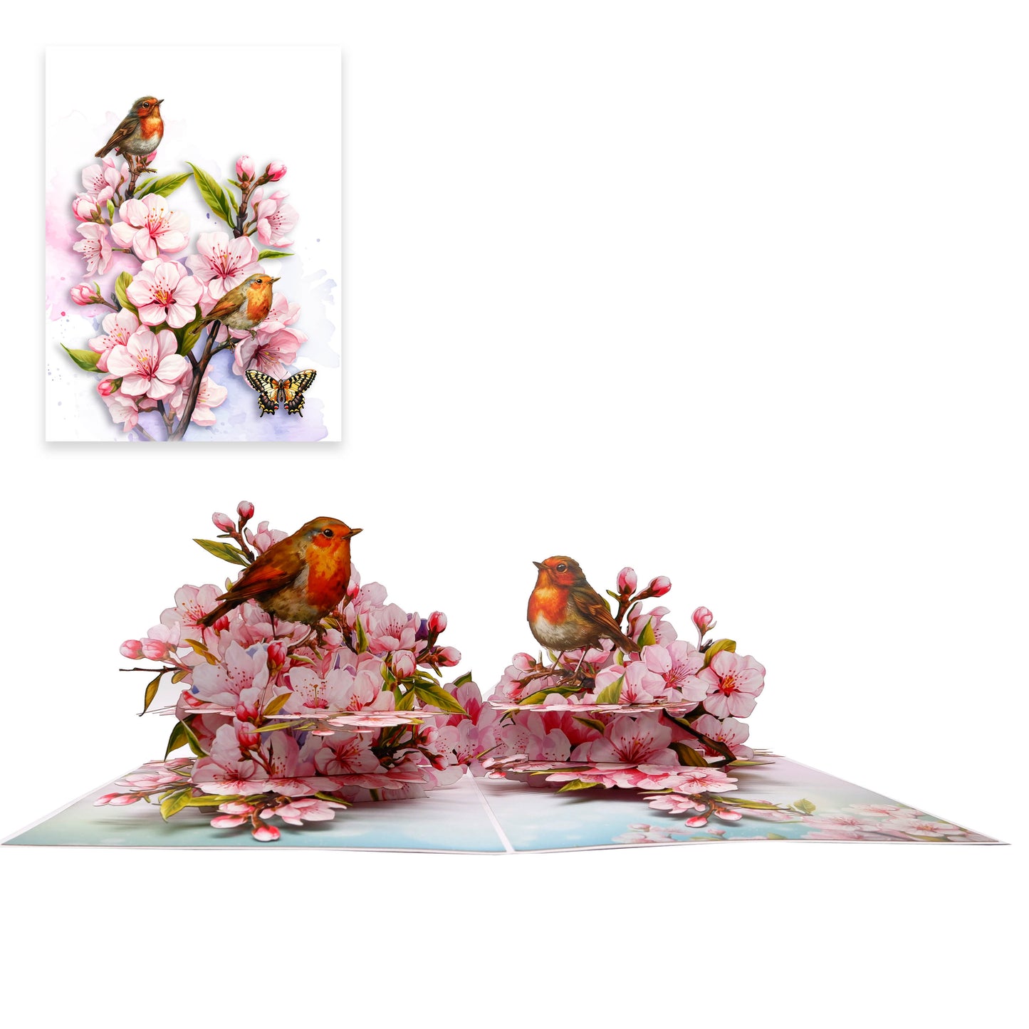 Cherry Blossom & Robin Birds Pop Up Card