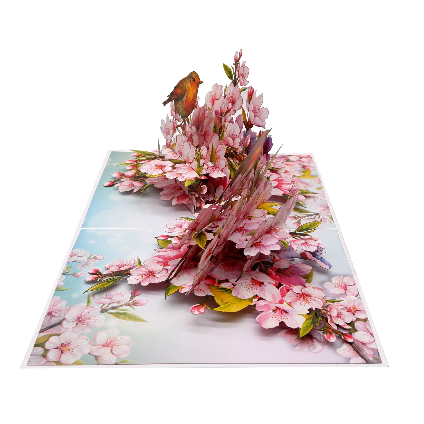 Cherry Blossom & Robin Birds Pop Up Card