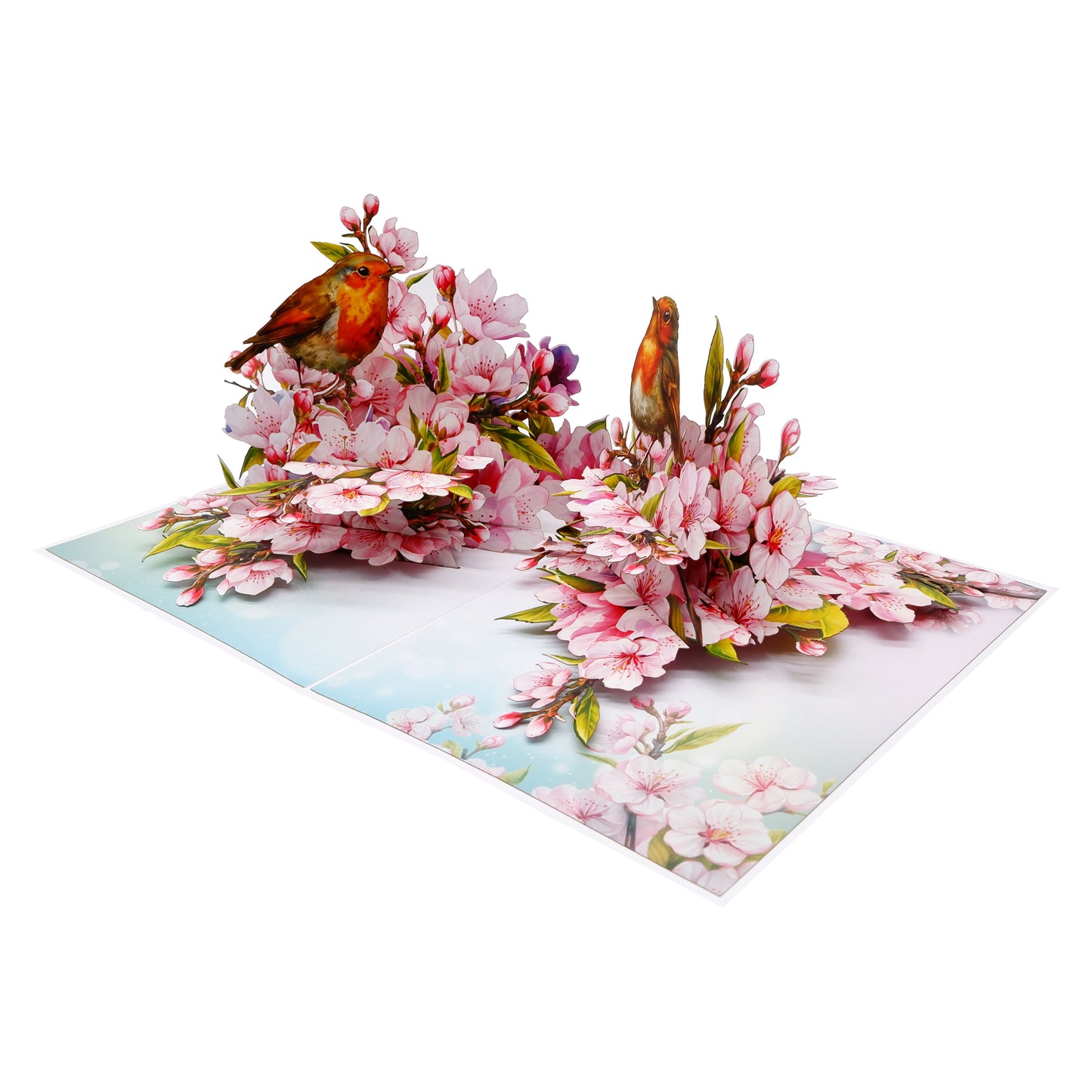 Cherry Blossom & Robin Birds Pop Up Card