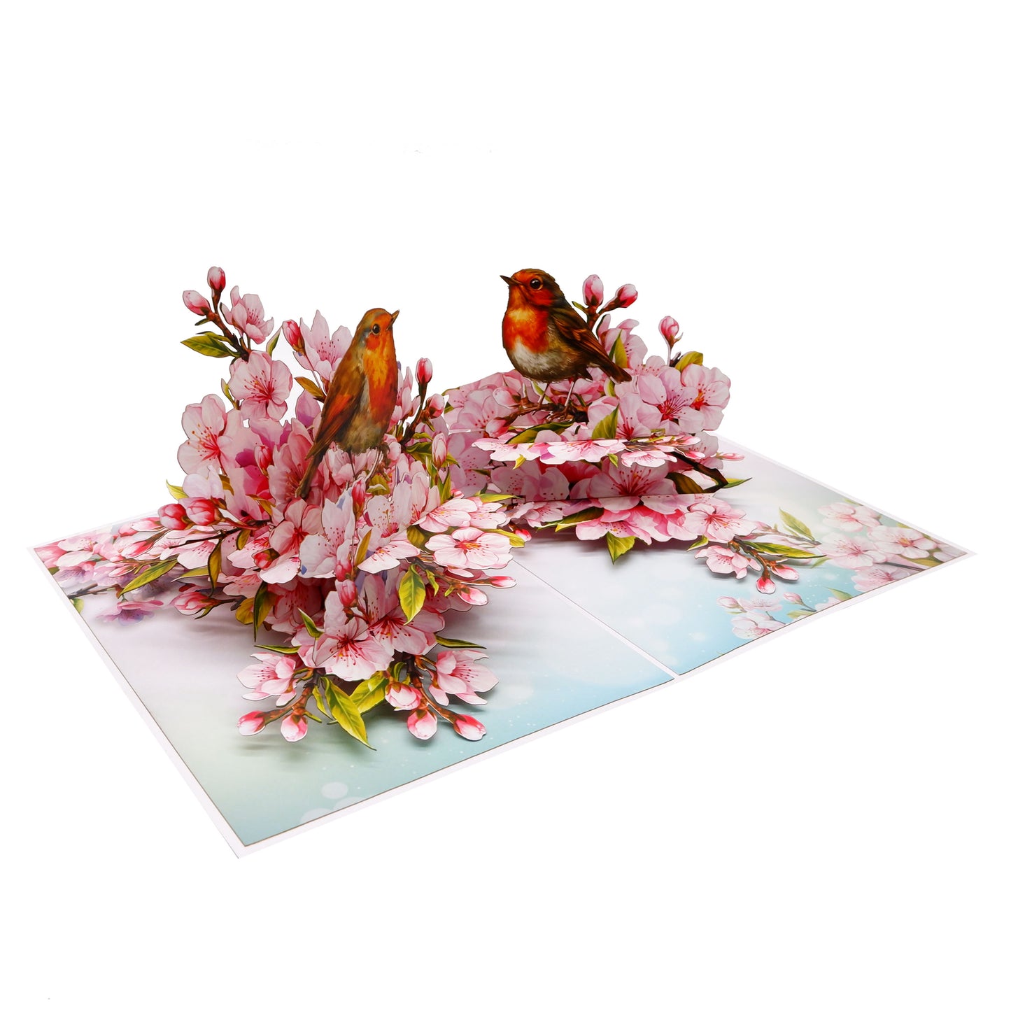 Cherry Blossom & Robin Birds Pop Up Card