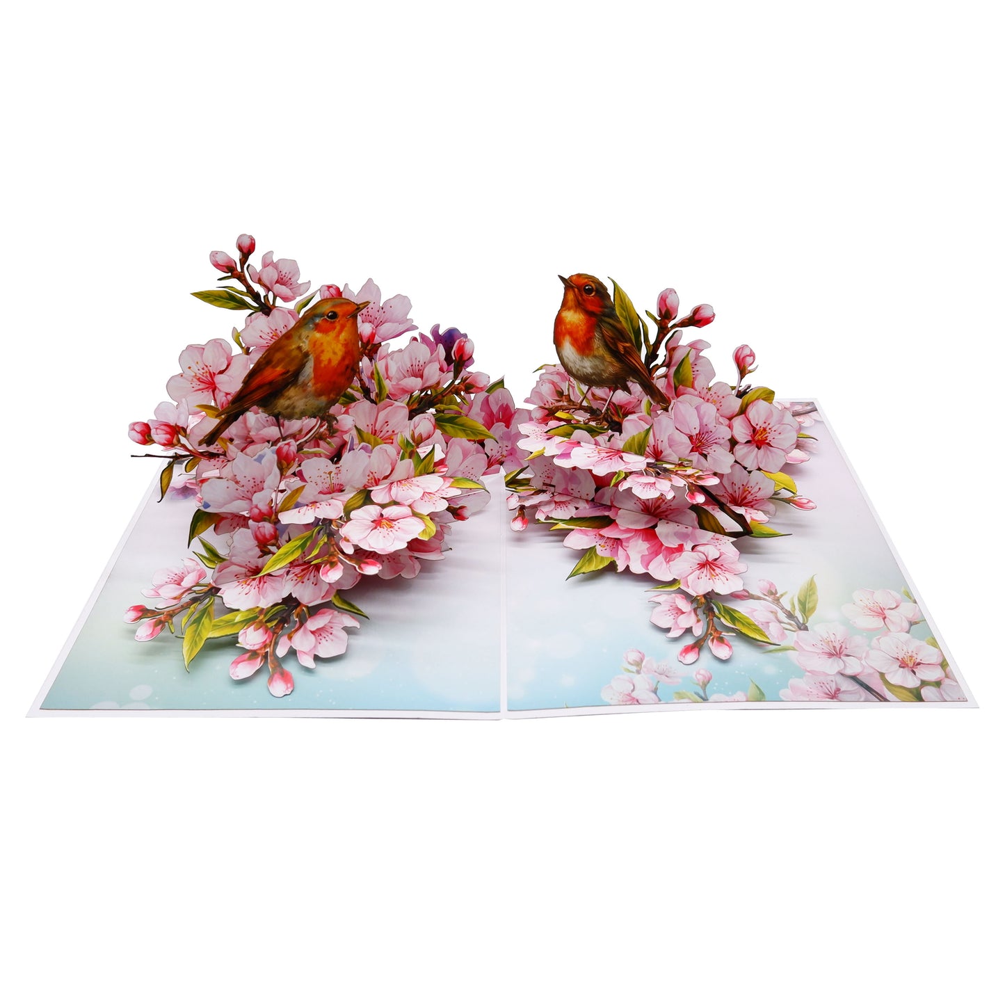 Cherry Blossom & Robin Birds Pop Up Card