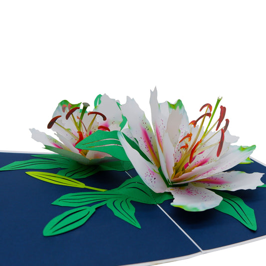 Lily Bloom Pop Up Card