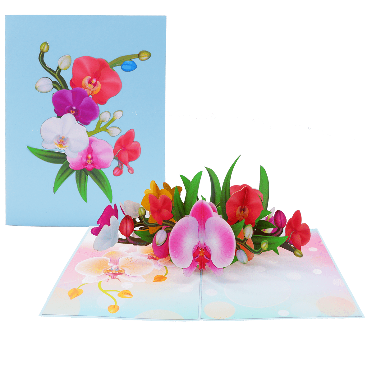 Colorful Orchid Pop Up Card
