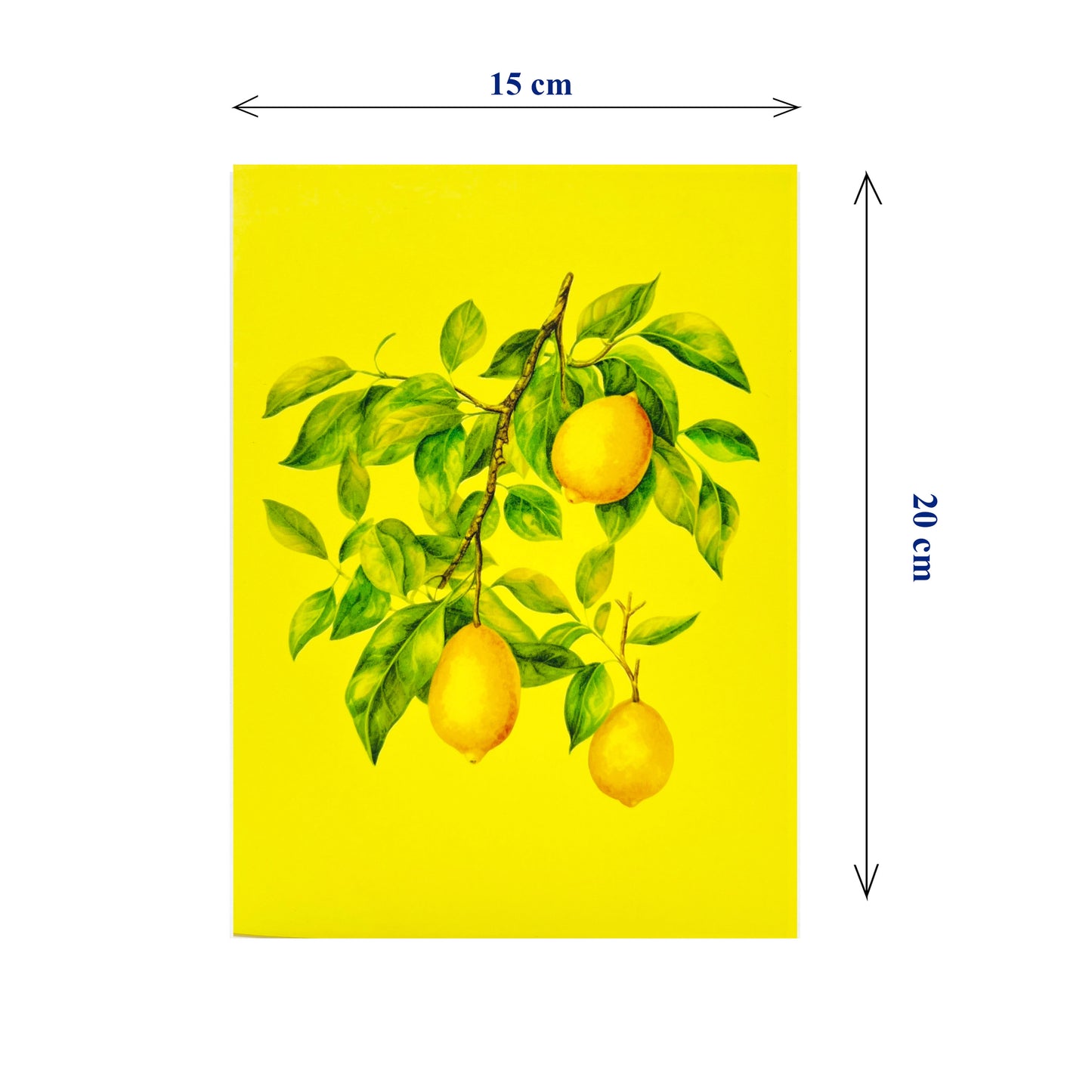 Lemon Tree Pop Up Card