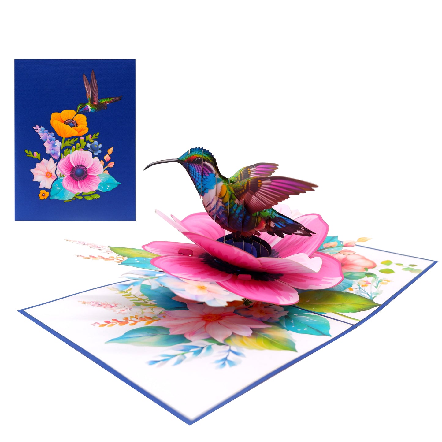 Anemone Coronaria Flower Hummingbird Pop Up Card