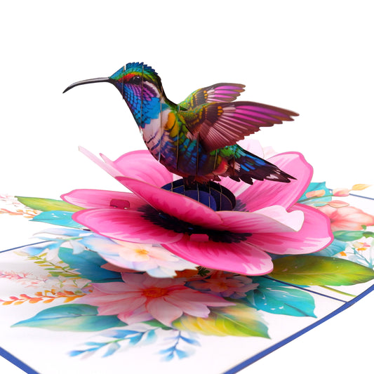 Anemone Coronaria Flower Hummingbird Pop Up Card