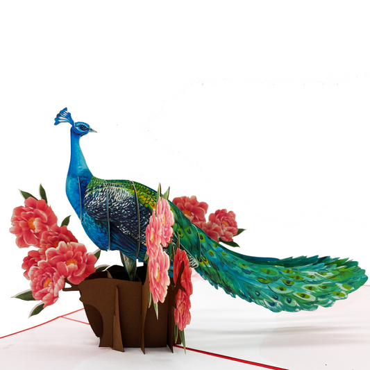 Peacock  Pop Up Cards