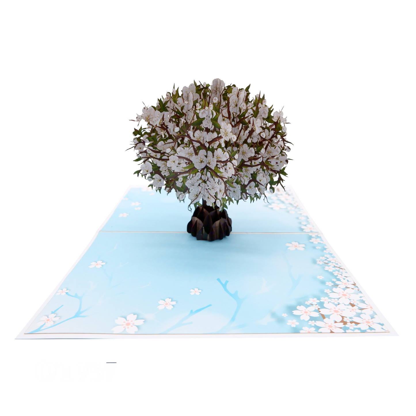 White Cherry Blossom Pop Up Card