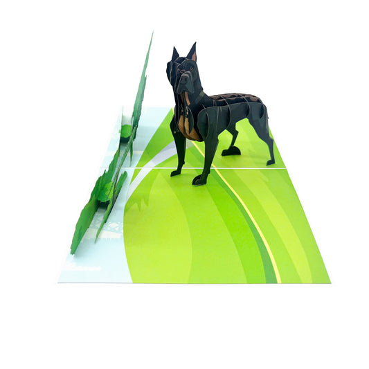 Great Dane  Pop Up Greeting Card